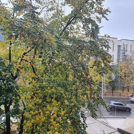 Entire Apartment, In The Center