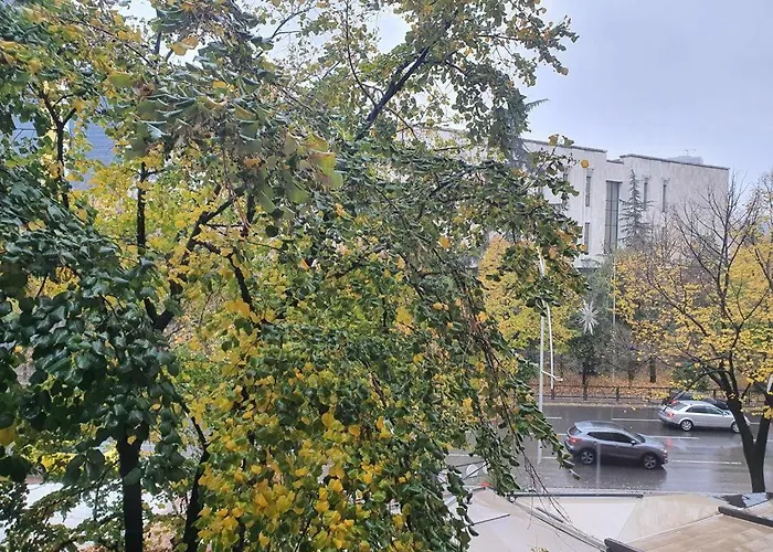 Entire Apartment, In The Center
